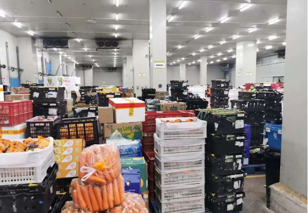 助力民生和医疗物资保供，太阳成集团tyc151cc抗疫救灾一直在线！